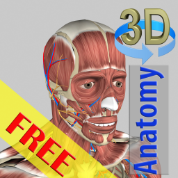 poster for 3D Bones and Organs (Anatomy)