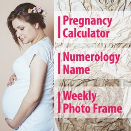logo for Pregnancy Calculator
