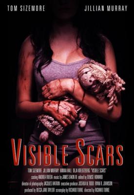 image for  Visible Scars movie
