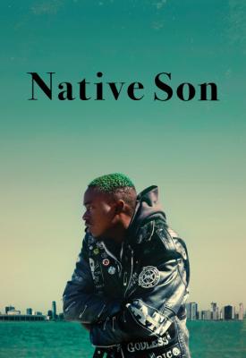image for  Native Son movie