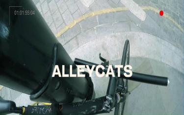 screenshoot for Alleycats