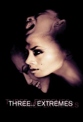 poster for Three... Extremes 2004