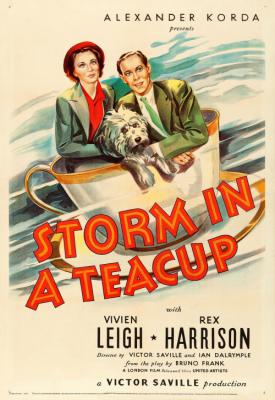poster for Storm in a Teacup 1937