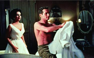 screenshoot for Cat on a Hot Tin Roof
