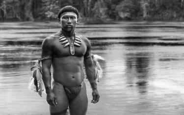 screenshoot for Embrace of the Serpent