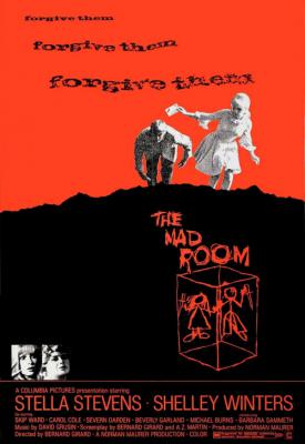 image for  The Mad Room movie