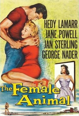 image for  The Female Animal movie