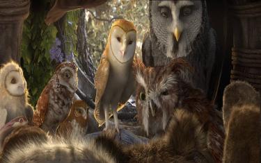 screenshoot for Legend of the Guardians: The Owls of GaHoole