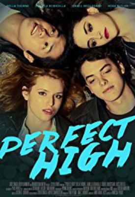 image for  Perfect High movie