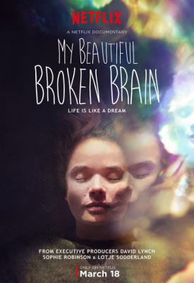 poster for My Beautiful Broken Brain 2014