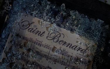 screenshoot for Saint Bernard