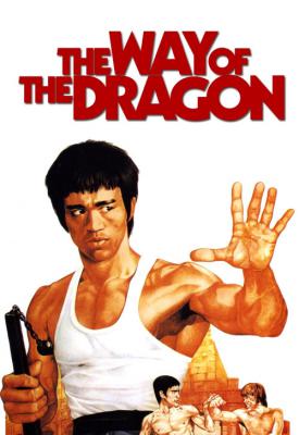 image for  The Way of the Dragon movie