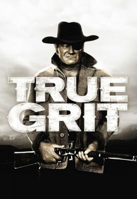 image for  True Grit movie