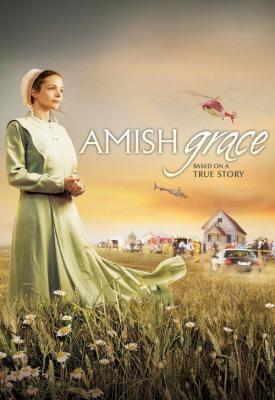 poster for Amish Grace 2010