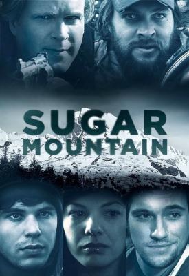poster for Sugar Mountain 2016