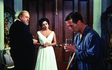screenshoot for Cat on a Hot Tin Roof