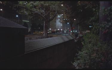 screenshoot for Panik i Central Park