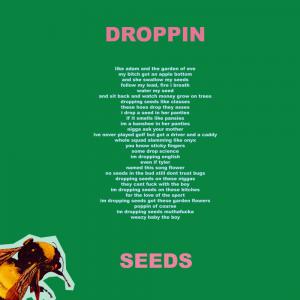 poster for Droppin Seeds (Ft. Lil Wayne) - Tyler, The Creator