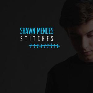 poster for Stitches - Shawn mendes
